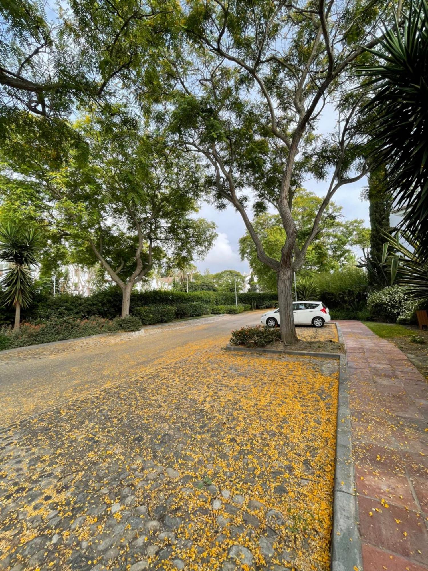 Relax&Sunset Appartement Costa Ballena Rota Exterior foto