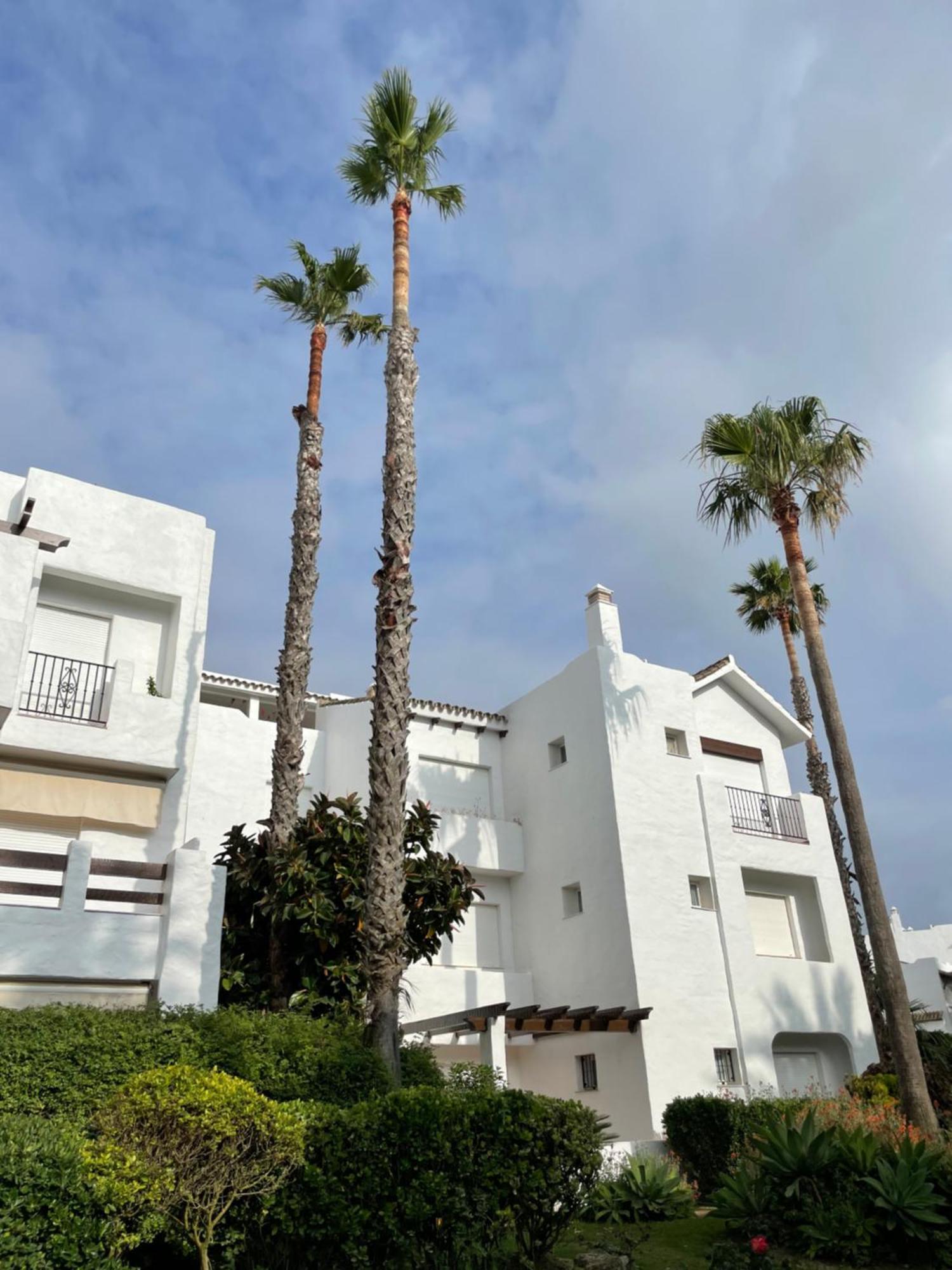 Relax&Sunset Appartement Costa Ballena Rota Exterior foto